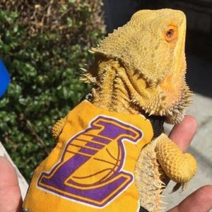 Meet your Posher, Frank